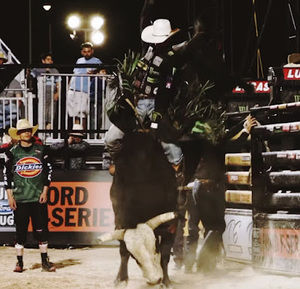 Meet your Posher, Nickollas